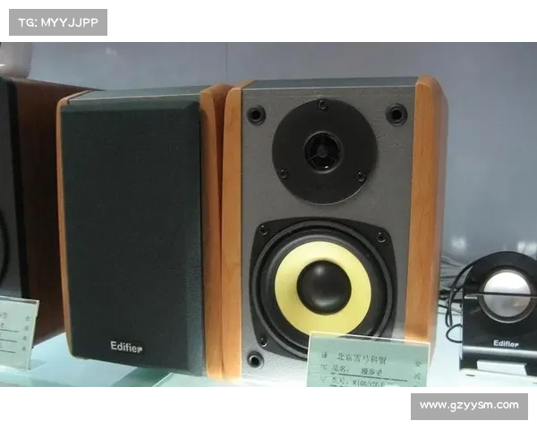 R1000TC北美版是否值得购买 用户体验全面评测与分析