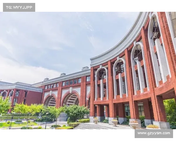 蓄能值机制在龙跃武器系统中的核心作用与策略解析