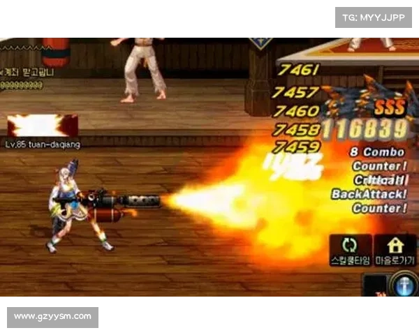 全面解析女大枪角色加点策略与技能搭配最佳指南