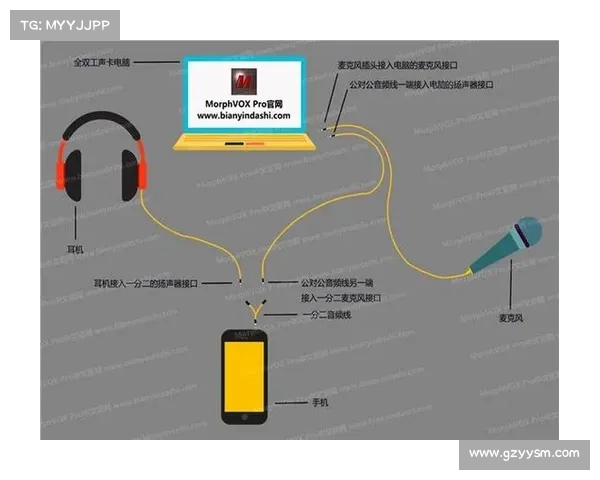探索MorphVox Pro强大功能让语音变换与音效编辑更加轻松有趣
