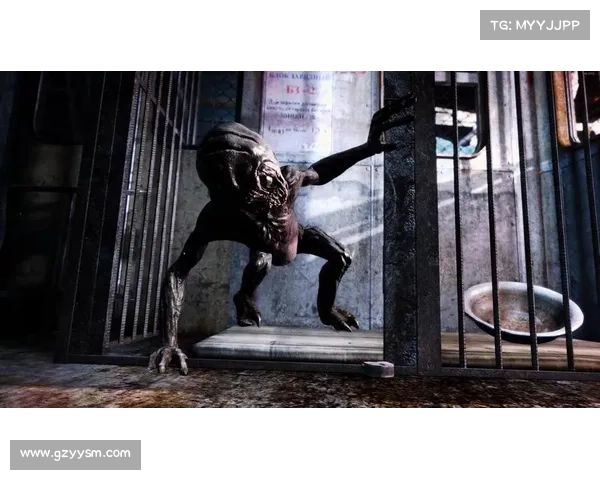 地铁隧道尽头的曙光：希望与绝望交织中的一线生机