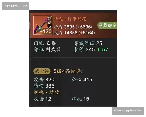 全面解析以进阶天之劫全攻略研读指南助你掌握通关秘诀与修炼奥义