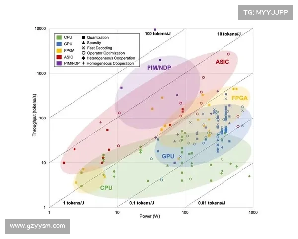 深入探究巴舒亚伊所使用语言的类型与文化背景解析