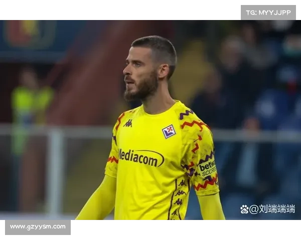 德赫亚在国家队比赛中发挥神勇力助西班牙晋级国际大赛